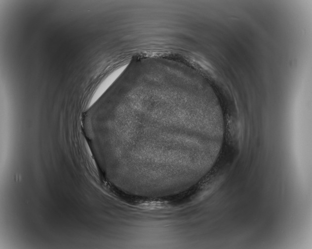 X0000086280499200704122050