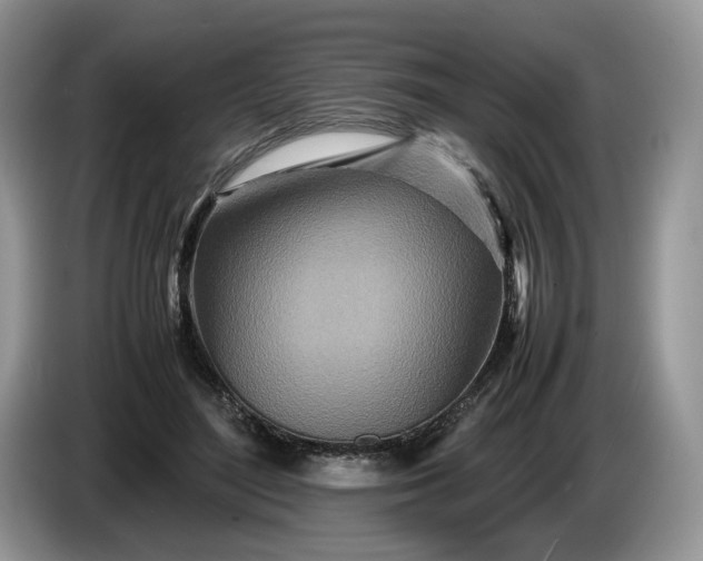 X0000086280500200704122050