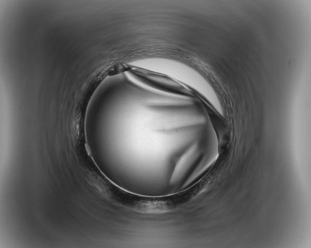 X0000086280501200704122050