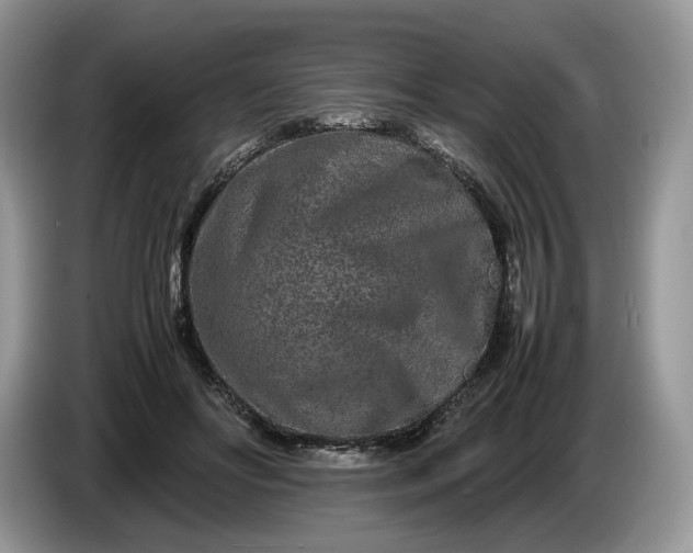 X0000086280502200704122050