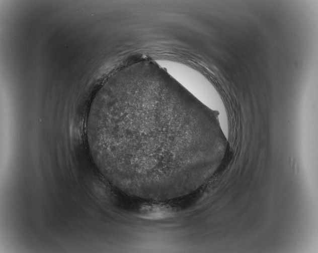 X0000086280503200704122050