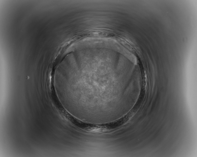 X0000086280504200704122050