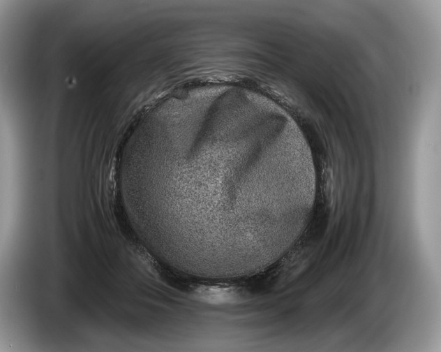 X0000086280506200704122050