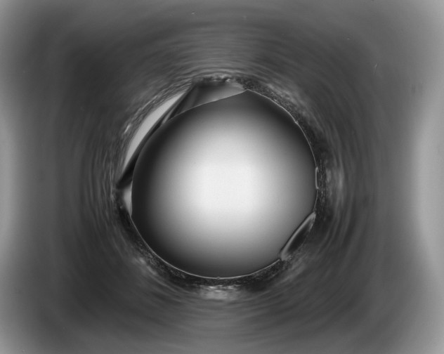 X0000086280508200704122050