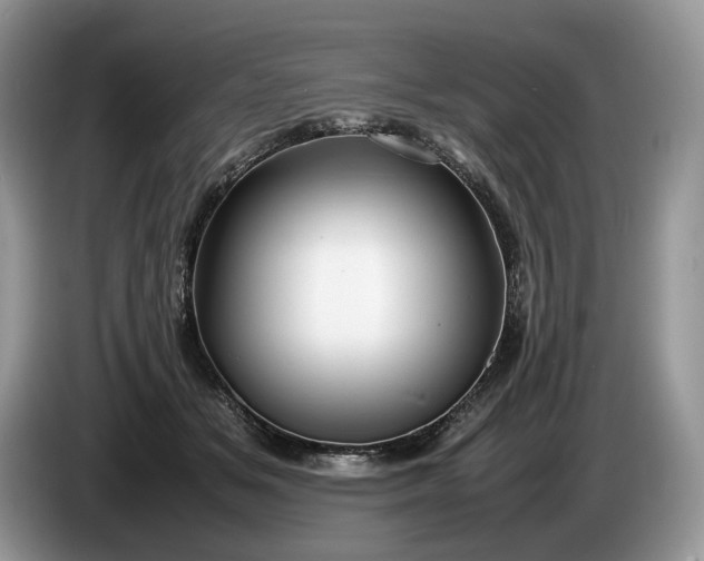 X0000086280509200704122050