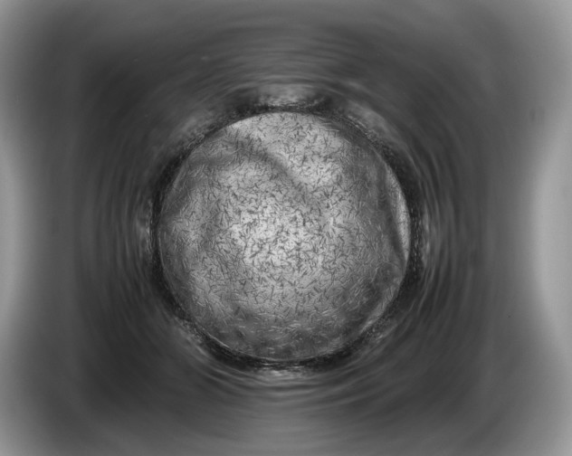 X0000086280510200704122050