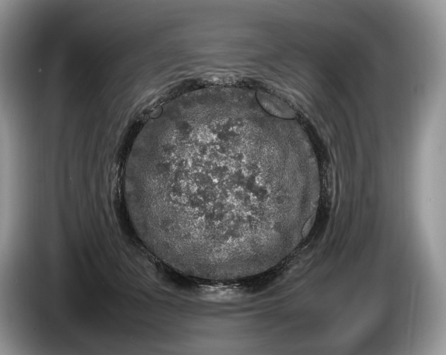 X0000086280511200704122049