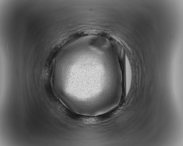 X0000086280513200704122049