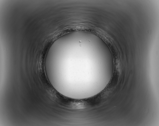 X0000086280514200704122049