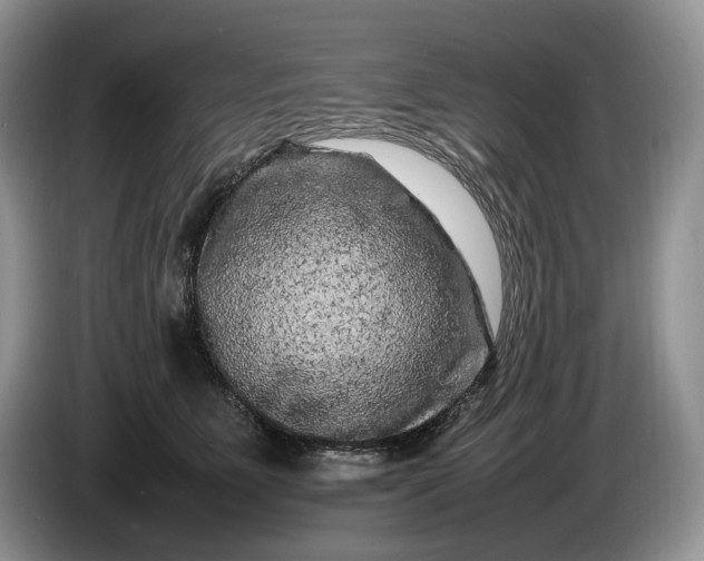 X0000086280515200704122049