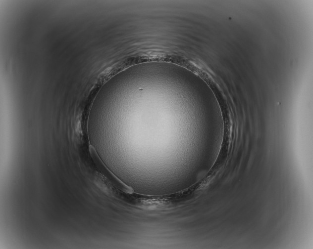 X0000086280516200704122049