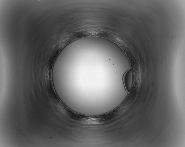 X0000086280518200704122049