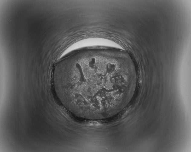 X0000086280519200704122049