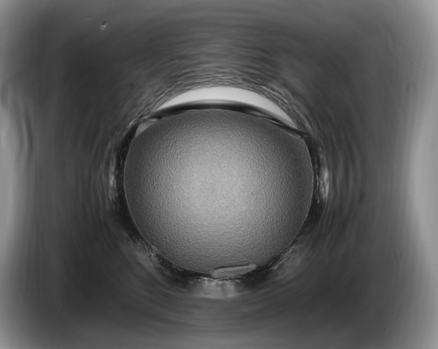 X0000086280520200704122049