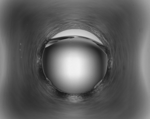 X0000086280521200704122049