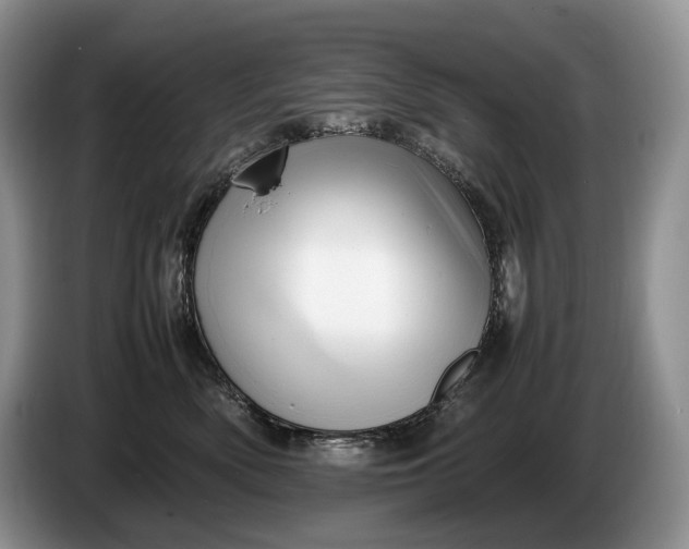 X0000086280522200704122049