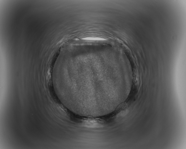 X0000086280523200704122049