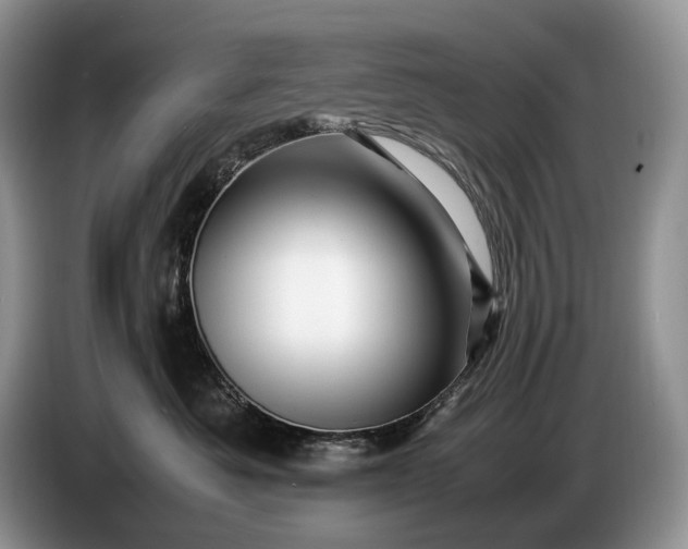 X0000086280525200704122049