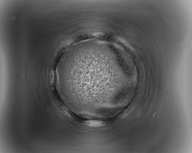 X0000086280528200704122049