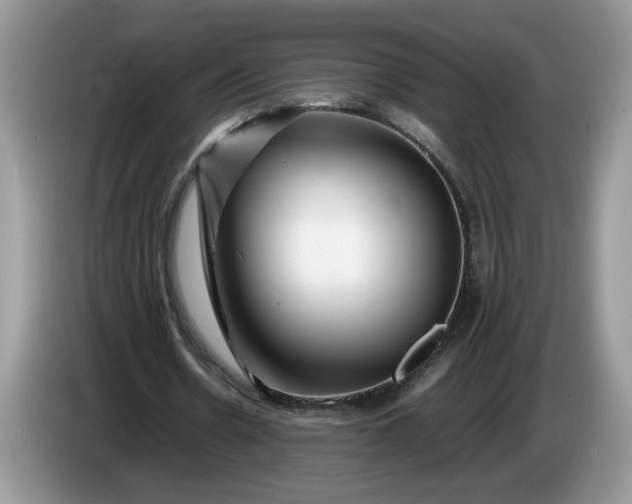 X0000086280530200704122049