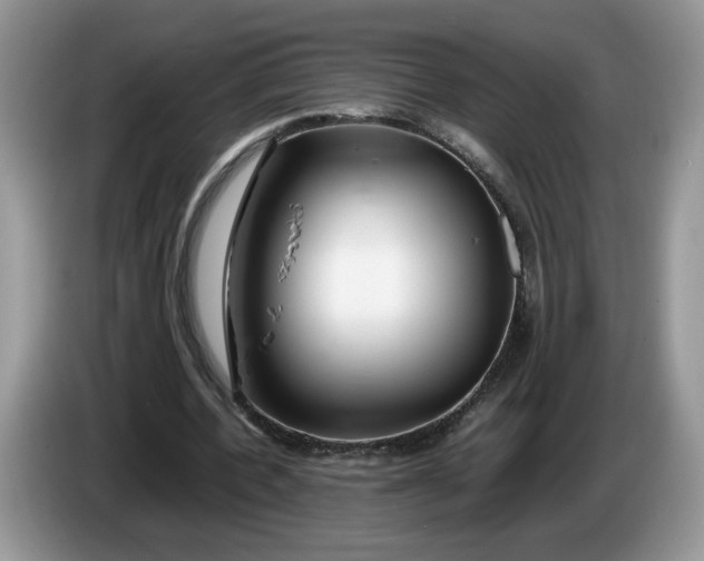 X0000086280532200704122049