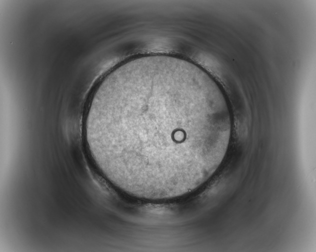 X0000086280534200704122049