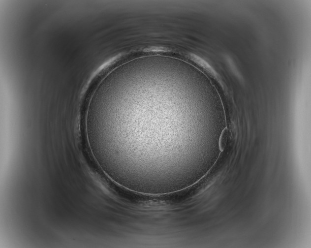 X0000086280535200704122049