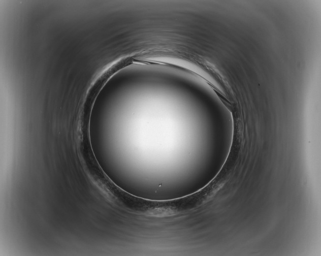 X0000086280536200704122049