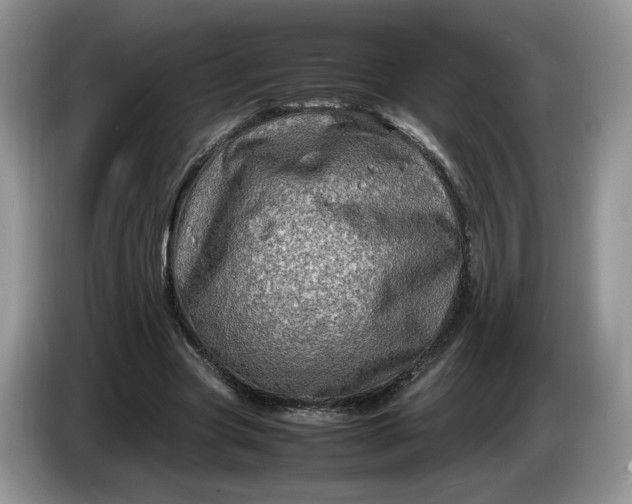 X0000086280537200704122049