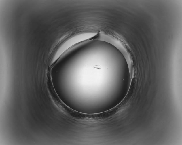 X0000086280538200704122049