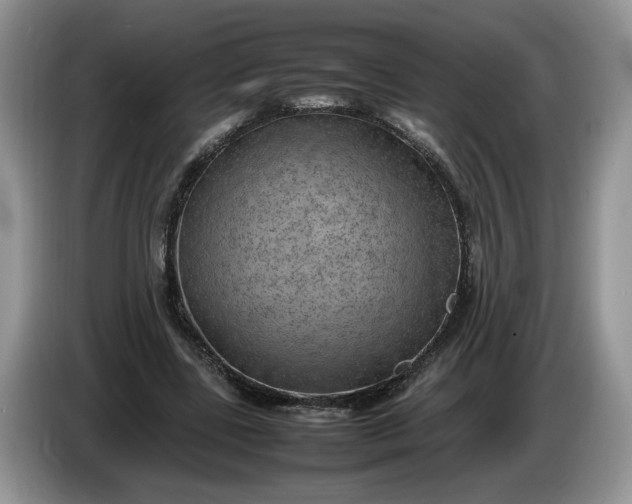 X0000086280539200704122049