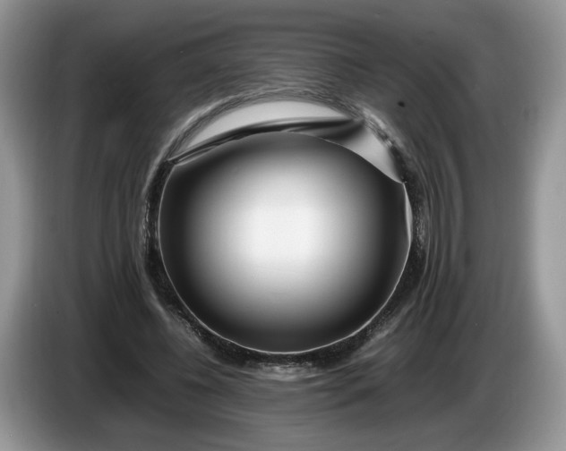 X0000086280540200704122049