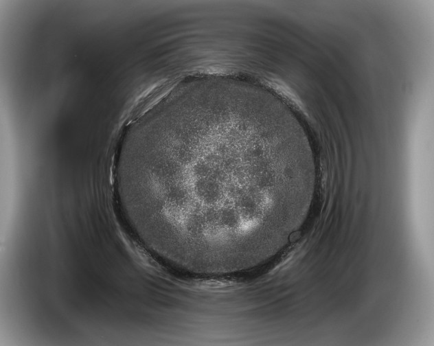 X0000086280542200704122049