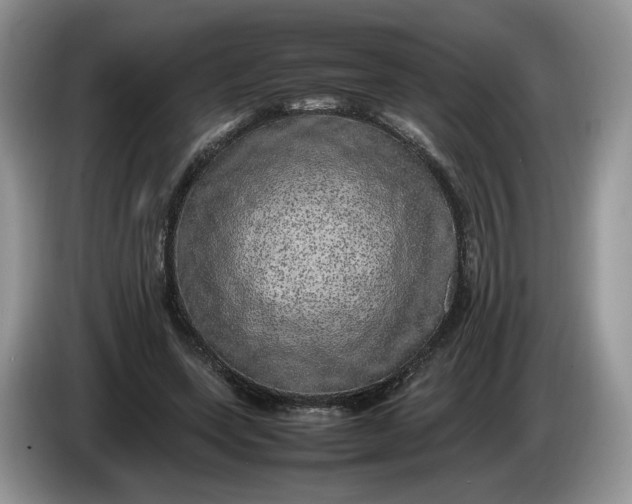 X0000086280543200704122049