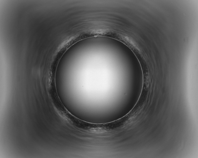 X0000086280544200704122049