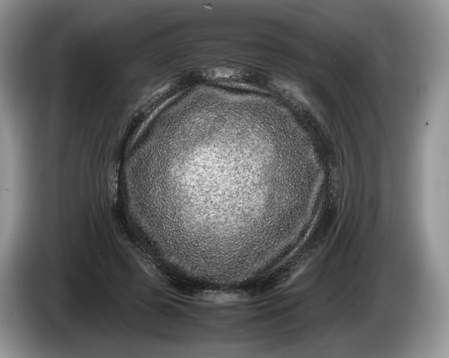 X0000086280545200704122049