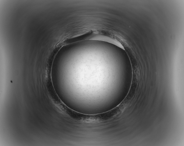 X0000086280546200704122049