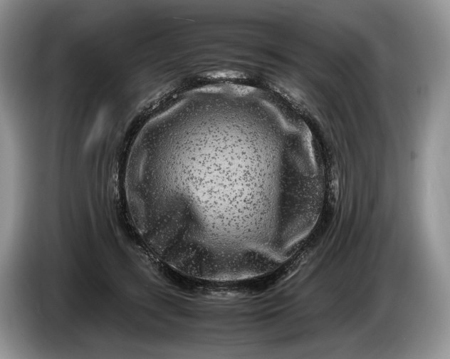 X0000086280547200704122049