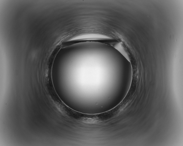 X0000086280548200704122049