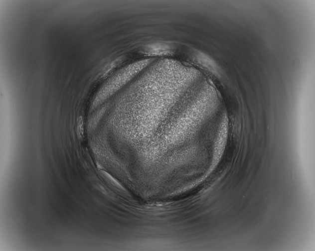 X0000086280549200704122049