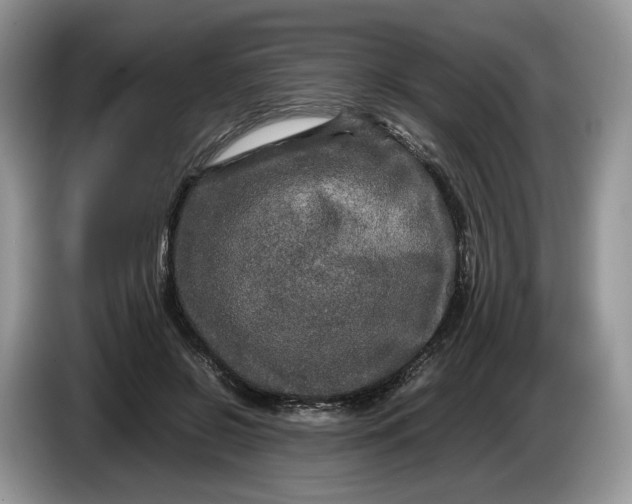 X0000086280550200704122049