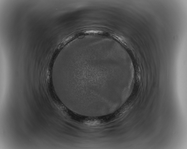 X0000086280551200704122049