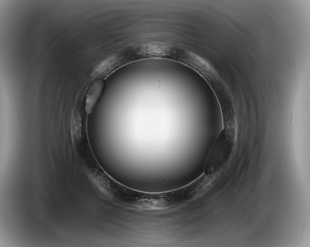 X0000086280552200704122049