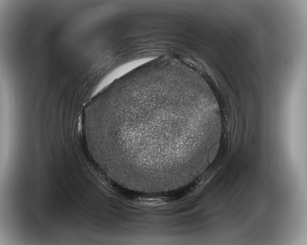 X0000086280553200704122049