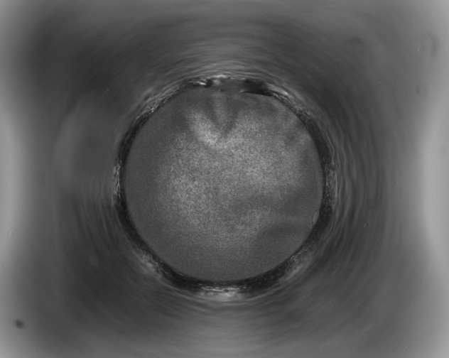 X0000086280554200704122049