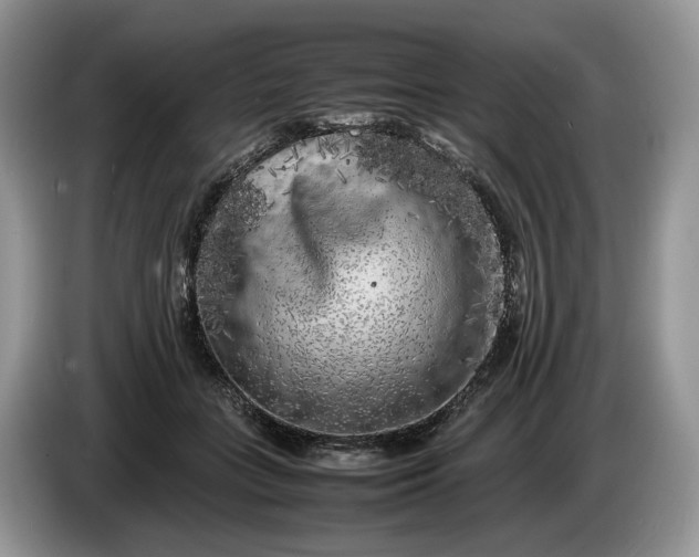 X0000086280555200704122049