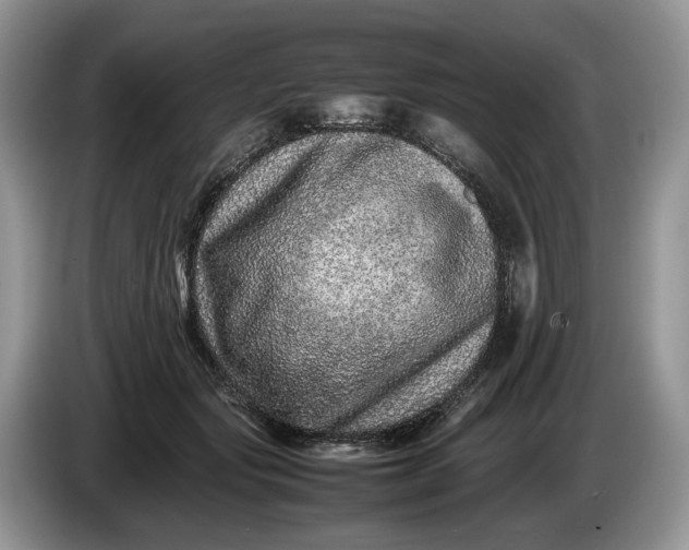 X0000086280557200704122049