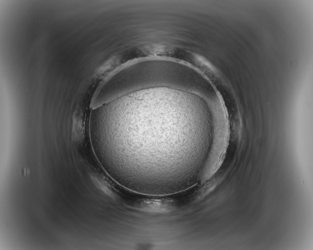 X0000086280558200704122049