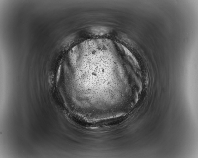 X0000086280559200704122049