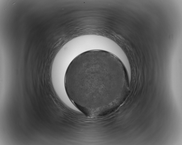 X0000086280560200704122049